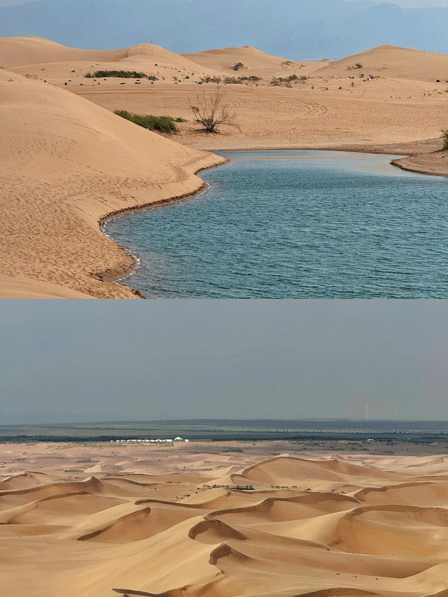 探索烏海：沙漠與湖泊交織的獨特之旅