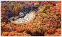 六朝古都暢遊！48小時沉浸式人文之旅