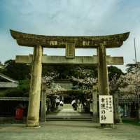 ⛩️【福岡光雲神社｜被兔子與繪馬治癒的森系小秘境】