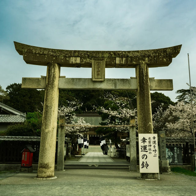 ⛩️【福岡光雲神社｜被兔子與繪馬治癒的森系小秘境】