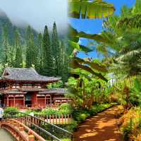 居高臨下的感覺：檀香山不但有海，而且有"山"