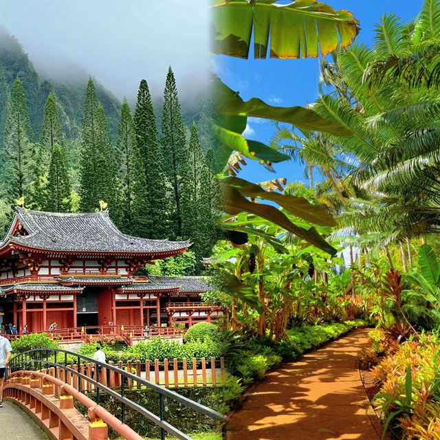 居高臨下的感覺：檀香山不但有海，而且有"山"