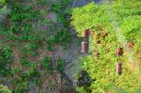 枕河而居，將江南景圈進室內