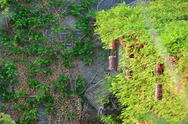 枕河而居，將江南景圈進室內