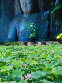 杭州一日遊，暢覽西湖美景