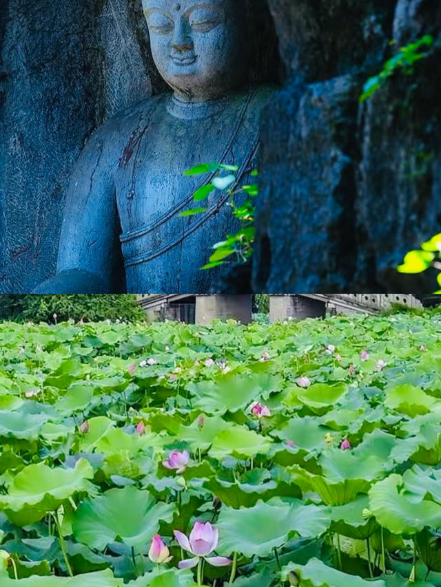 杭州一日遊，暢覽西湖美景