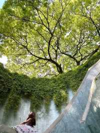 Fort Canning Park is Extraordinary in Singapore🌹🌸