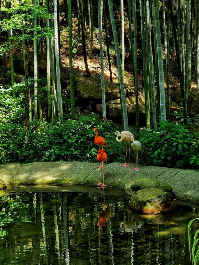 溧陽南山竹海親子遊 | 兩天的慢時光之旅
