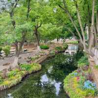 世界花園大會分會～中山公園（人更少，附攻略）