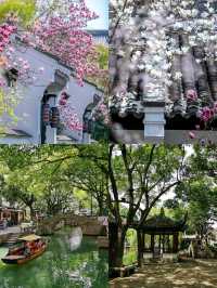 誤入江南水鄉 | 同里古鎮超詳細旅遊攻略 人均500