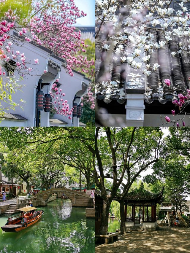 誤入江南水鄉 | 同里古鎮超詳細旅遊攻略 人均500