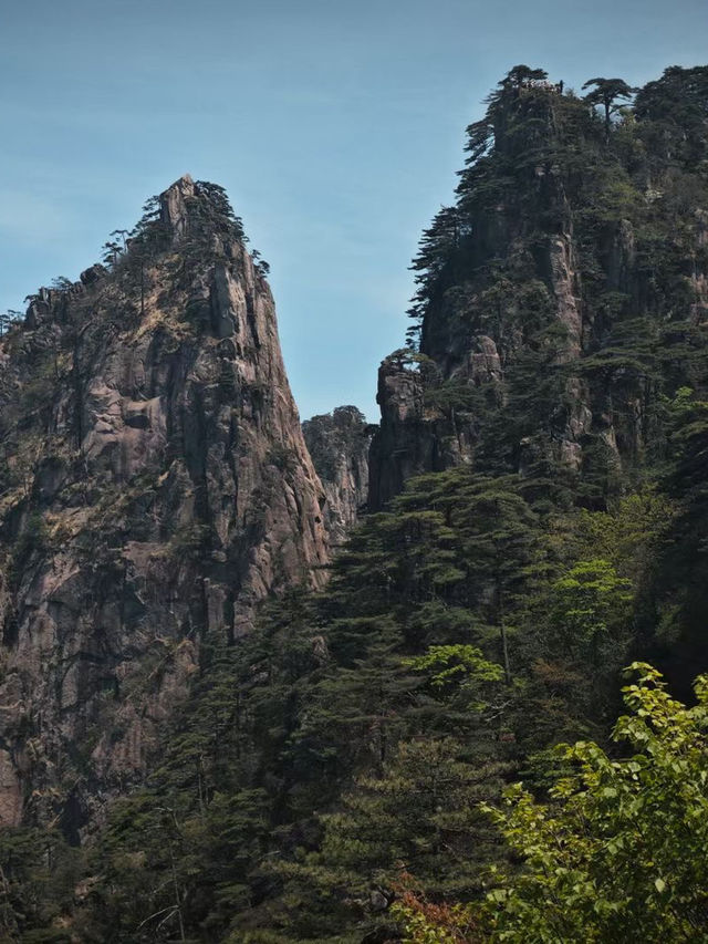 Huangshan - the loveliest mountain of China 🇨🇳 ⛰️