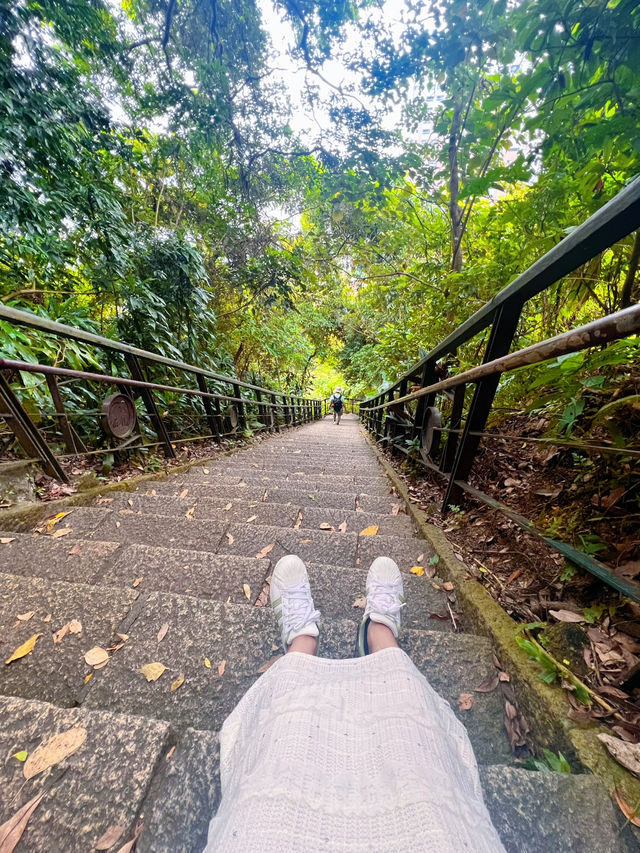 ⛰️ 🐘 Elephant Mountain Views in Taipei
