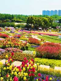 漫花莊園 | 闖入現實版莫奈花園，美到犯規