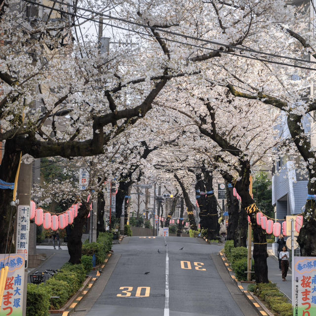 🌸東京櫻花季驚喜彩蛋！無意捕獲神仙愛情畫面