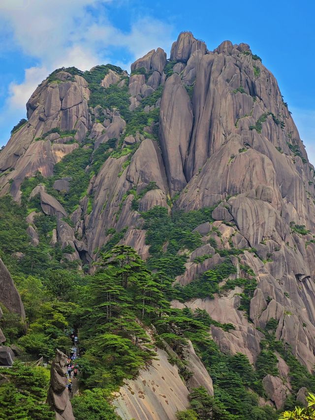 總要去趟黃山吧 真係靚到喊