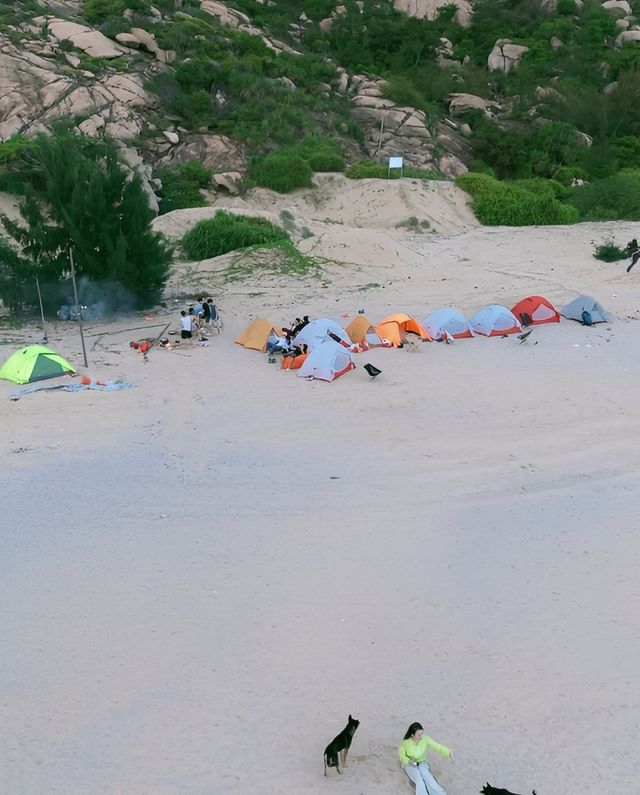 私藏嘅「趕海天花板」，竟然畀我搵到啦