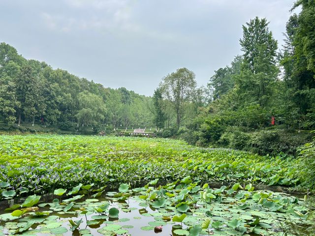 廣安——偉人故里，紅色旅遊與自然風光的交融