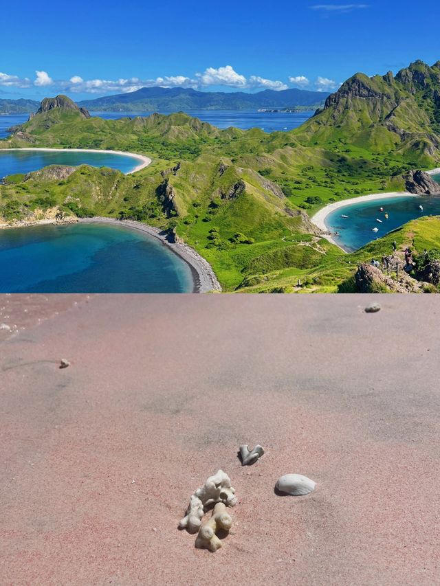 唔係峇里島！唔係峇里島！唔係峇里島！係科莫多島！