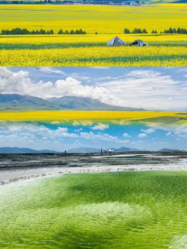 錯過等一年的青甘線！8種彩虹急速褪色