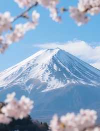 北海道的甜蜜角落