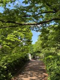 東京最適合運動的大公園，距離澀谷僅8分鐘