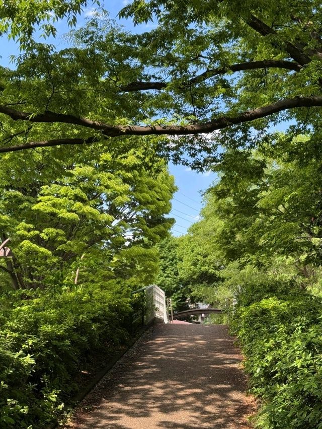 東京最適合運動的大公園，距離澀谷僅8分鐘