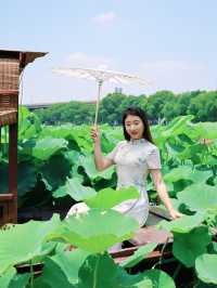 端午節蘇州相城夏日尋芳納涼指南