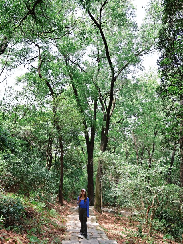 返工攰咗就去行山啦～廣州市區小眾行山路線～