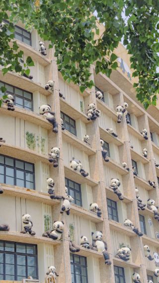 To take this set of photos, I specially went to Tian Yantai, totally worth it. Here’s a guide