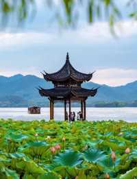 杭州必去！解鎖西湖十景，影相打卡唔會迷路