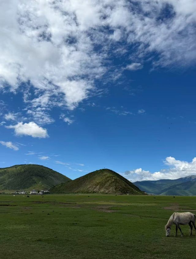 森林背後的湖泊