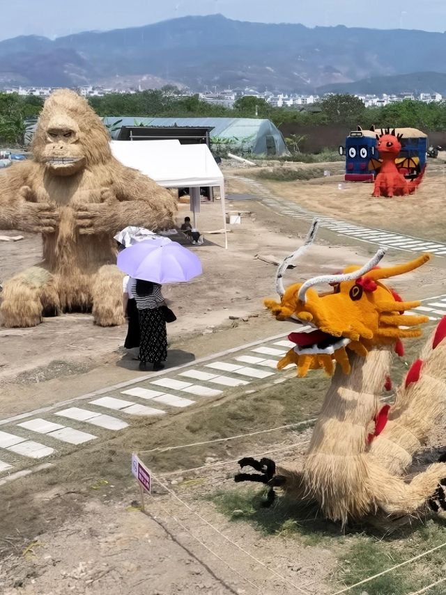 畢業季正青春，到活力貴港露營玩樂趣享假期