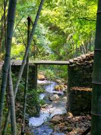 杭州出發半小時 江浙滬天選後花園