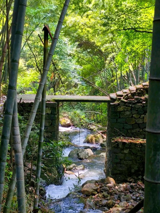 杭州出發半小時 江浙滬天選後花園