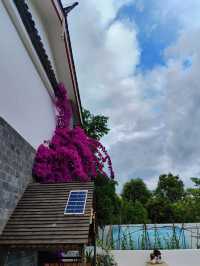 （麗江）第3次嚟啦！雲南等風來小院！影相好出片…