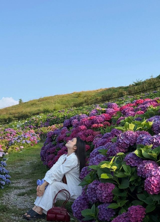 貴陽周邊絕世好去處！私藏小眾無盡夏秘境大公開
