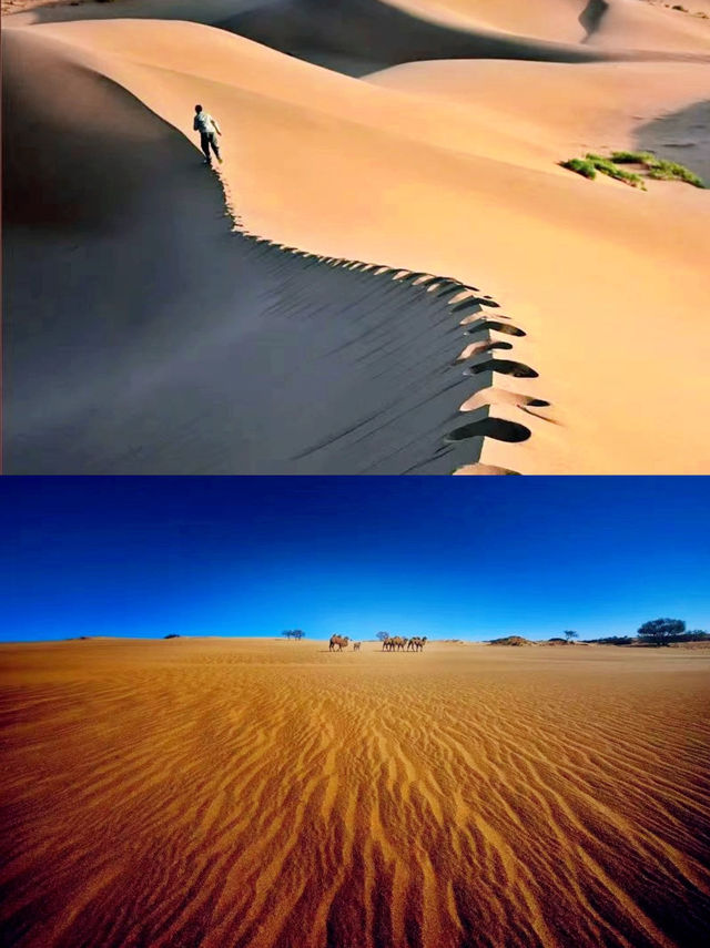 自駕穿越|渾善達克沙地漫遊之旅攻略！