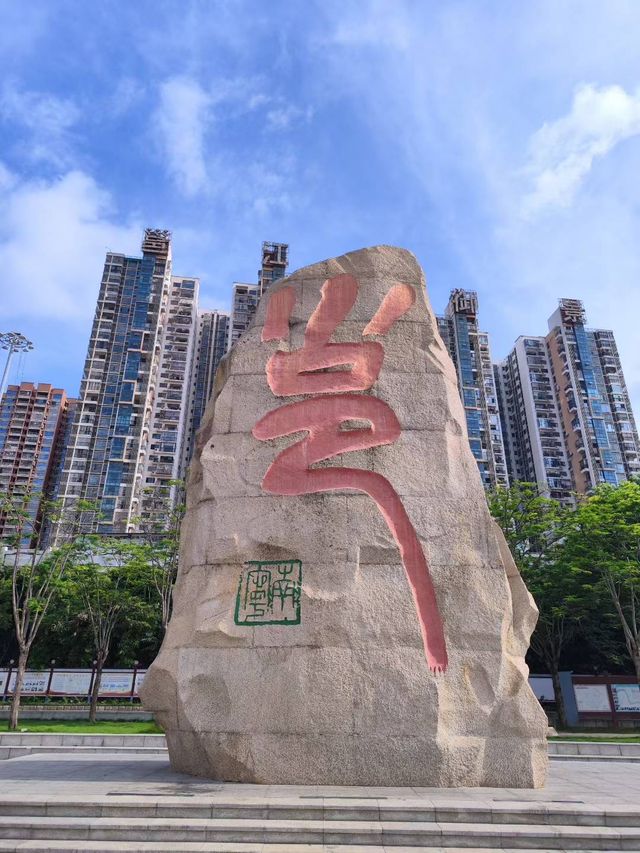 南寧古城牆嘅呢棵樹太有生命力啦！
