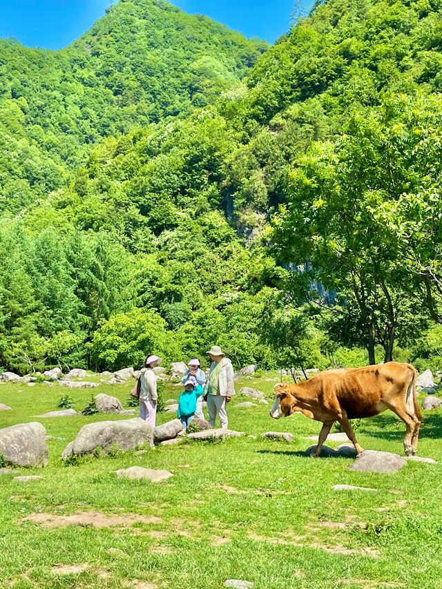 唔去新疆！陝西私藏咗個阿勒泰20℃夏天太正啦！