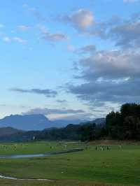 專屬22℃夏日嘅村落‖放慢腳步感受山水禪意～