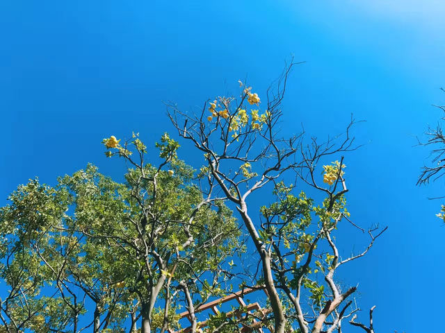 瞓醒就見蒼山洱海！大理秋日神仙視角攻略，實力希爾頓躺贏風花雪月