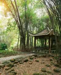 南寧狮山公園拍照秘境分享