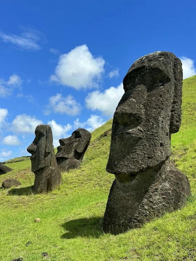 南美叢林常被用來象徵內心嚮往的自由世界。