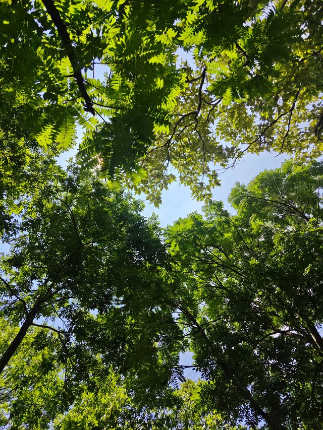 黃果樹大瀑布親子遊｜住到咗間超級上鏡嘅民宿