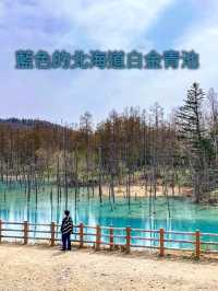藍色的北海道白金青池