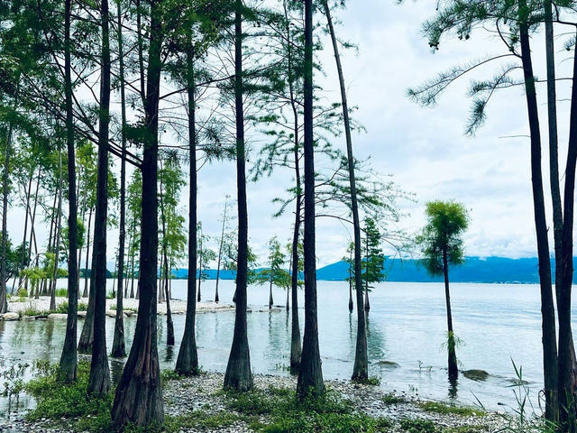 洱海嘅風景真係好靚