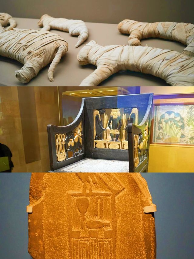 歷史迷必睇！上博埃及展！解鎖古埃及密碼
