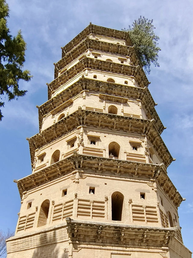 劍氣雲霧裡，尋一段道骨仙風