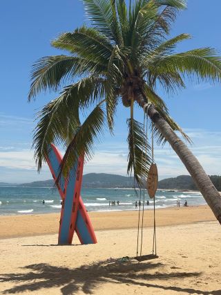 Hidden Gem｜Xiangshui Bay Seaside Boardwalk is Perfect for Photos